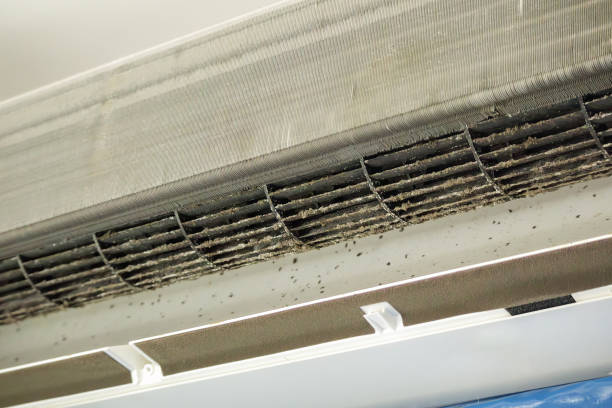 Best Home Air Vent Cleaning  in Mcchord Af, WA